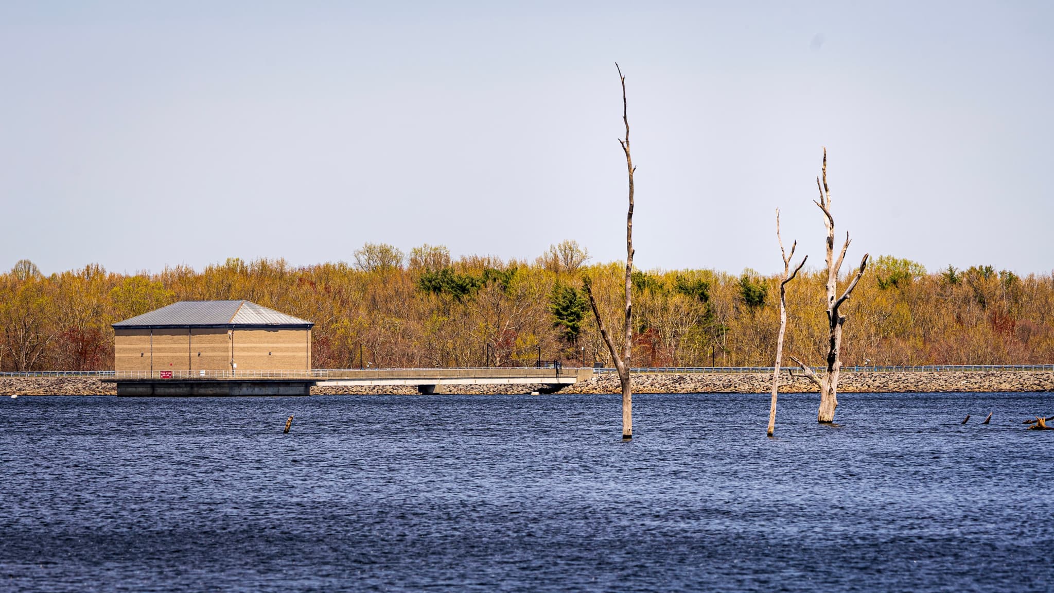 A calm body of water with a small building on the shore, surrounded by autumn-colored trees and a few bare tree trunks emerging from the water