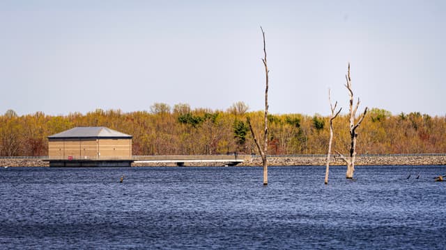 A calm body of water with a small building on the shore, surrounded by autumn-colored trees and a few bare tree trunks emerging from the water