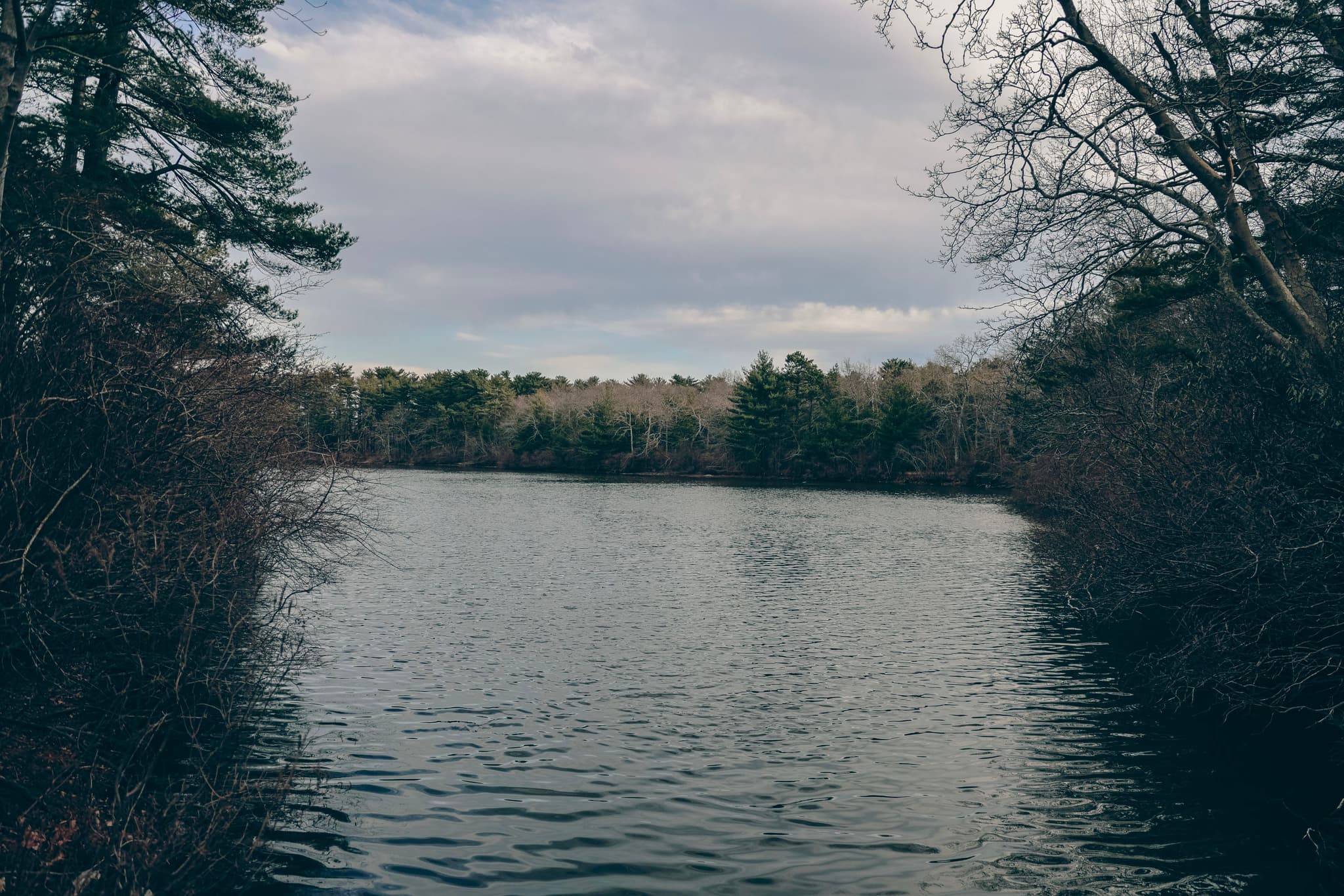 A tranquil lake surrounded by trees under a cloudy sky