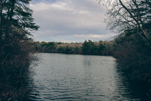 A tranquil lake surrounded by trees under a cloudy sky