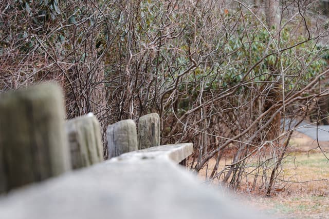 A close-up view of a wooden fence with a blurred background of leafless trees and shrubs